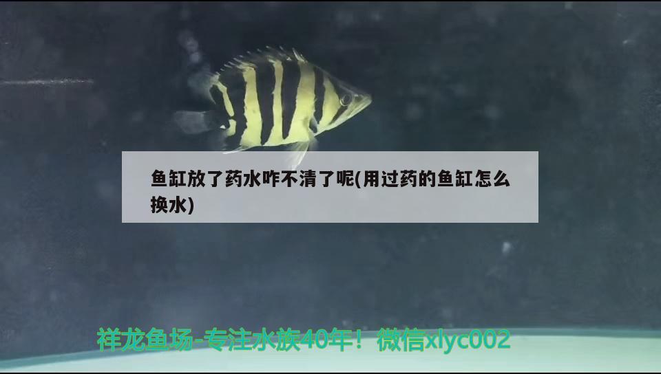 魚缸放了藥水咋不清了呢(用過藥的魚缸怎么換水)