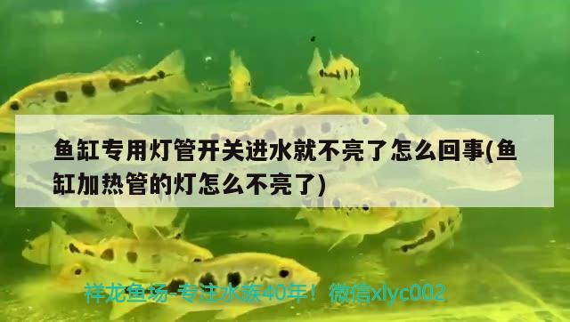 魚缸上水不下水(魚缸上水不下水怎么回事) B級(jí)過背金龍魚 第3張