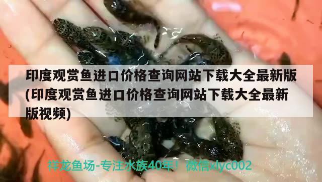 印度觀賞魚進口價格查詢網(wǎng)站下載大全最新版(印度觀賞魚進口價格查詢網(wǎng)站下載大全最新版視頻) 觀賞魚進出口 第1張