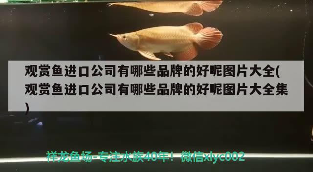 沈陽(yáng)哪里賣魚缸便宜，沈陽(yáng)哪里有賣便宜魚缸