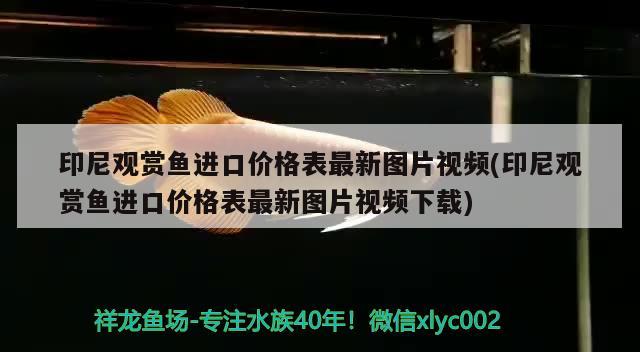 富陽哪里有賣魚缸的地方富陽市魚缸銷售店鋪詳細(xì)介紹，富陽哪里有賣魚缸的地方——魚缸銷售店鋪詳細(xì)介紹