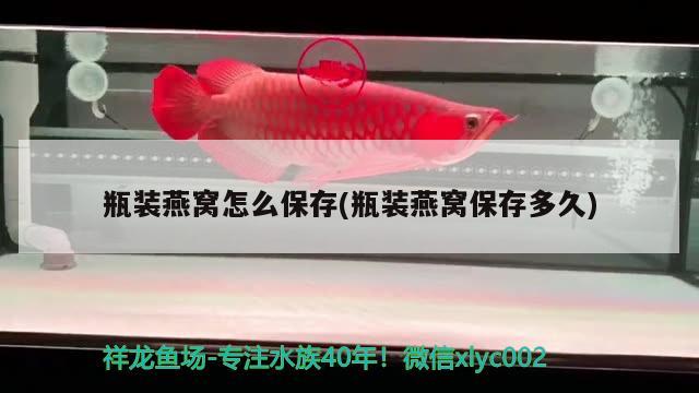 濾材多久換一次（過濾濾材多久換一次） 紅老虎魚 第1張