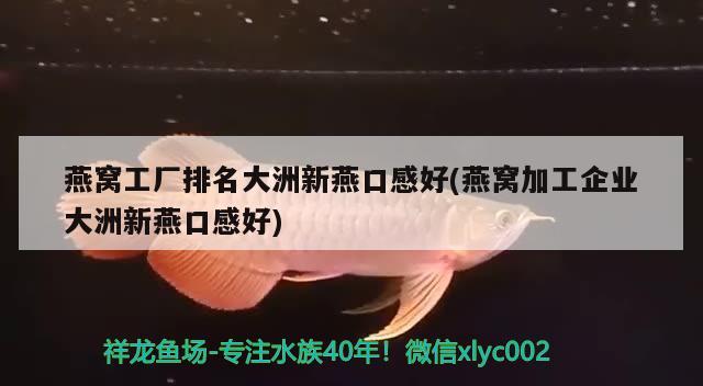 燕窩工廠排名大洲新燕口感好(燕窩加工企業(yè)大洲新燕口感好)