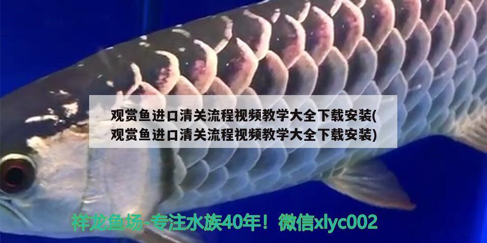 樂事水族魚缸安裝視頻大全下載（樂事水族官網(wǎng)）