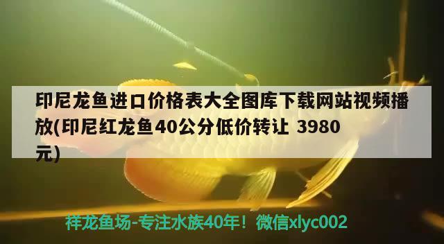 魚(yú)缸過(guò)濾器不抽水怎么解決視頻講解（馬桶有水聲不上水怎么回事） 慈雕魚(yú) 第2張