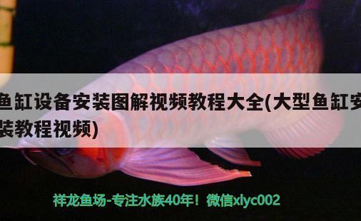 魚(yú)缸設(shè)備安裝圖解視頻教程大全(大型魚(yú)缸安裝教程視頻)