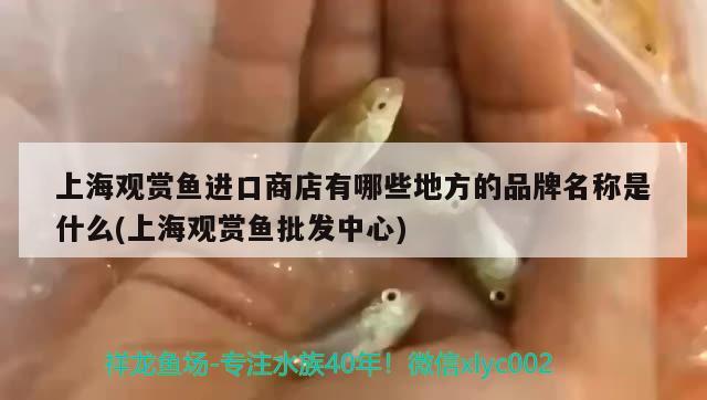 上海觀賞魚(yú)進(jìn)口商店有哪些地方的品牌名稱(chēng)是什么(上海觀賞魚(yú)批發(fā)中心) 觀賞魚(yú)進(jìn)出口