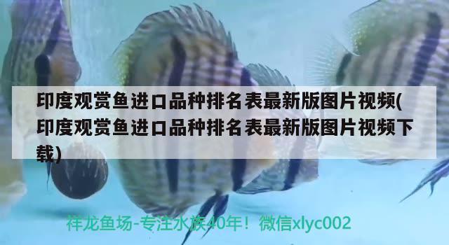 印度觀賞魚進口品種排名表最新版圖片視頻(印度觀賞魚進口品種排名表最新版圖片視頻下載) 觀賞魚進出口