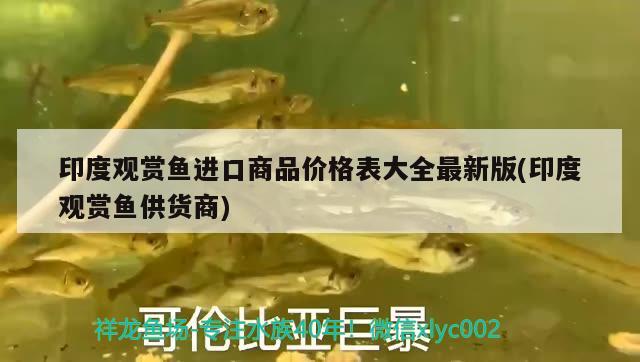 興化哪里有魚(yú)缸賣(mài)的地方（興化魚(yú)市場(chǎng)） 孵化器