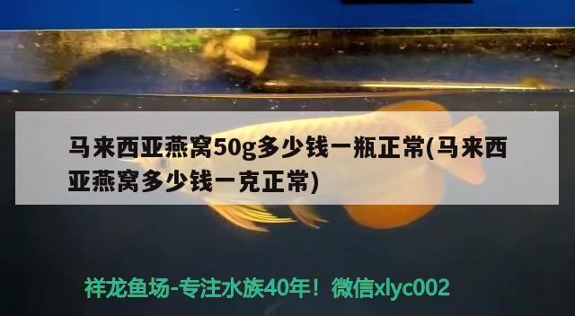 魚缸全年免換水什么意思呀(魚缸全年免換水什么意思呀視頻) 黑云魚