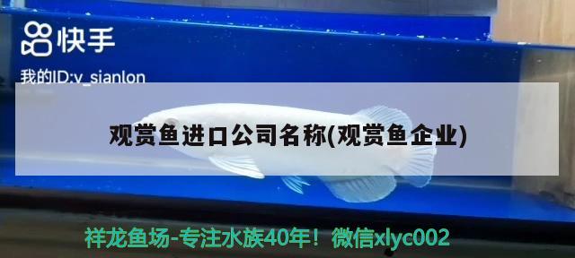 觀賞魚進(jìn)口公司名稱(觀賞魚企業(yè)) 觀賞魚進(jìn)出口