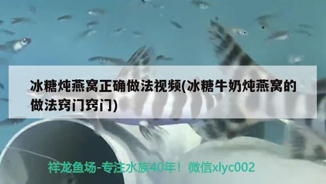 冰糖燉燕窩正確做法視頻(冰糖牛奶燉燕窩的做法竅門竅門) 馬來西亞燕窩