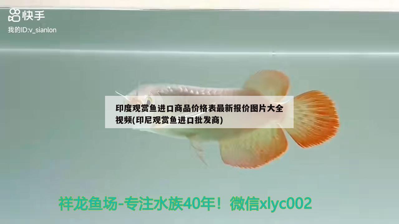 印度觀賞魚進口商品價格表最新報價圖片大全視頻(印尼觀賞魚進口批發(fā)商)