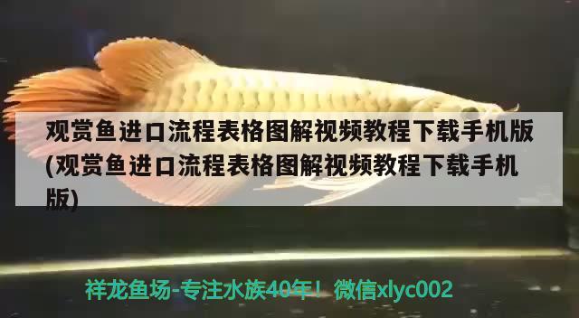 觀賞魚(yú)進(jìn)口流程表格圖解視頻教程下載手機(jī)版(觀賞魚(yú)進(jìn)口流程表格圖解視頻教程下載手機(jī)版) 觀賞魚(yú)進(jìn)出口