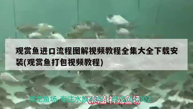 觀賞魚進(jìn)口流程圖解視頻教程全集大全下載安裝(觀賞魚打包視頻教程) 觀賞魚進(jìn)出口