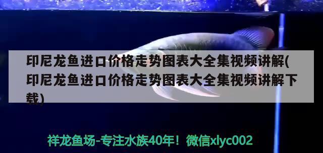 通州區(qū)平潮永新漁具店 全國水族館企業(yè)名錄 第2張