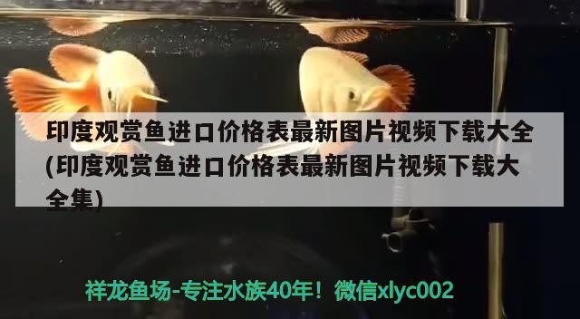 印度觀賞魚進口價格表最新圖片視頻下載大全(印度觀賞魚進口價格表最新圖片視頻下載大全集)