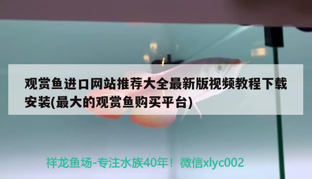 觀賞魚進口網(wǎng)站推薦大全最新版視頻教程下載安裝(最大的觀賞魚購買平臺) 觀賞魚進出口