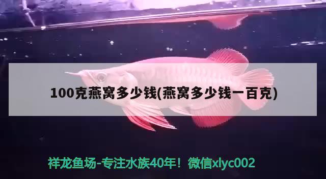 最貴的龍魚排名，金龍魚有幾個(gè)品種，每個(gè)品種都是什么價(jià)