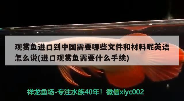 觀賞魚進口到中國需要哪些文件和材料呢英語怎么說(進口觀賞魚需要什么手續(xù)) 觀賞魚進出口