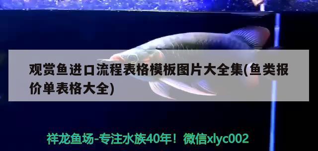 pccy是什么牌手機(jī)，養(yǎng)魚高手請賜教！我的黑云魚請回來半個多月了，可是除了吃食游上來，平時基本都不游動，總沉在缸底下不動