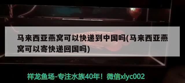 江津觀賞魚繁殖基地電話多少?。ń蛴^賞魚繁殖基地電話多少?。?觀賞魚 第4張