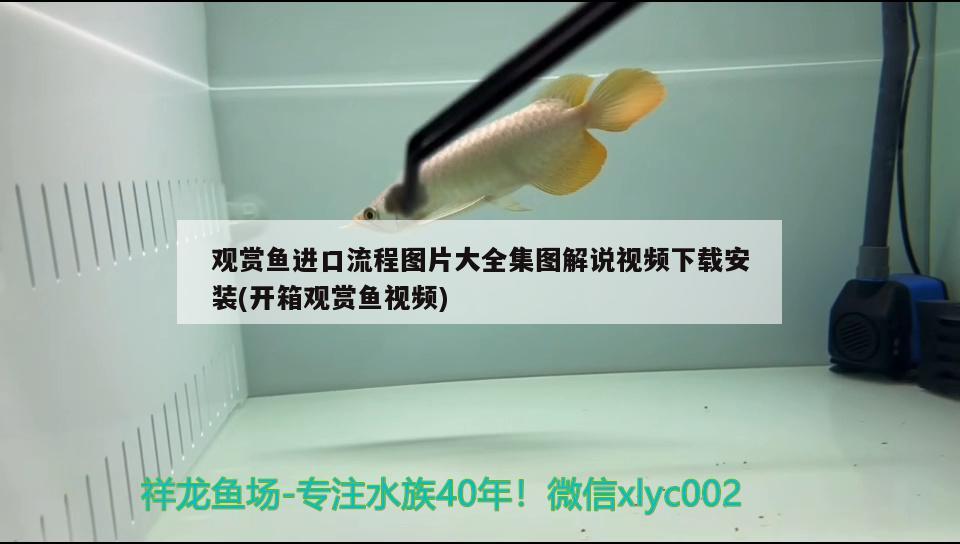 撫順二手魚缸出售信息（撫順58同城二手魚缸水族箱出售） 魚缸/水族箱 第1張