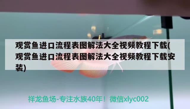 魚缸水起白霧怎么回事視頻(魚缸水有白霧是怎么回事) 祥龍水族護(hù)理水