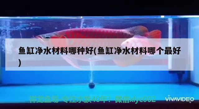 牡丹江水族批發(fā)市場(chǎng)都在哪里？（牡丹江水產(chǎn)魚(yú)類批發(fā)） 龍魚(yú)芯片掃碼器