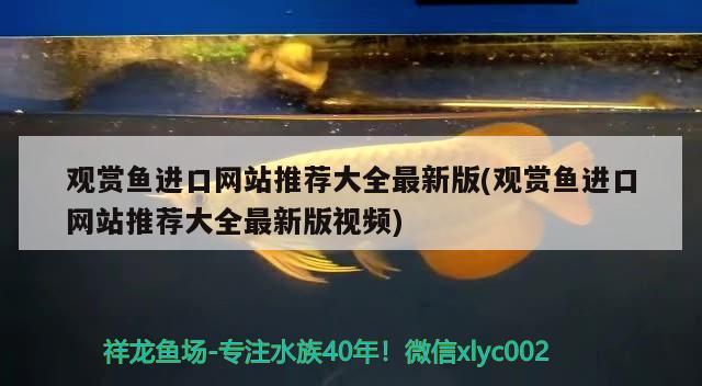 閩江魚缸廠家地址查詢網(wǎng)（閩江水族魚缸要多少錢一個）