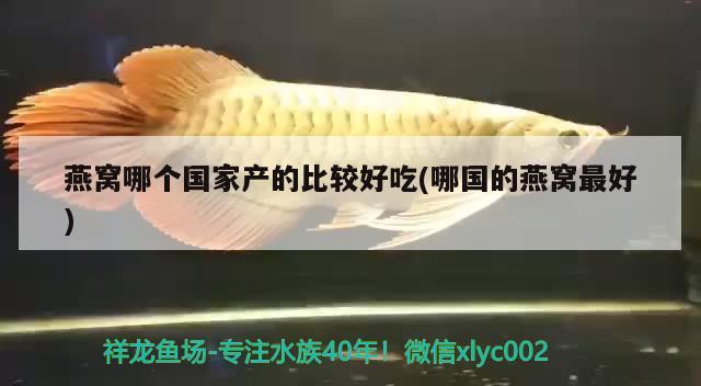 萍鄉(xiāng)市華順農(nóng)林有限公司 麥肯斯銀版魚 第3張