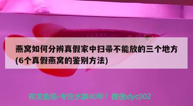 燕窩如何分辨真假家中掃帚不能放的三個地方(6個真假燕窩的鑒別方法)