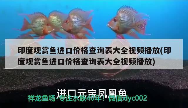 印度觀賞魚進口價格查詢表大全視頻播放(印度觀賞魚進口價格查詢表大全視頻播放) 觀賞魚進出口