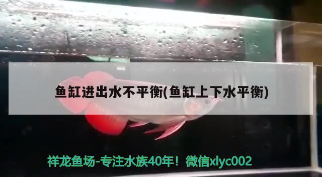 魚缸進(jìn)出水不平衡(魚缸上下水平衡) 水族品牌