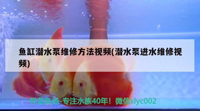 魚缸潛水泵維修方法視頻(潛水泵進(jìn)水維修視頻)