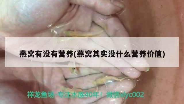 魚缸銹跡成因解決魚缸銹跡的方法包括以下幾個(gè)方面，如何解決魚缸里經(jīng)常出現(xiàn)銹跡的問題？ 巴西亞魚苗 第1張