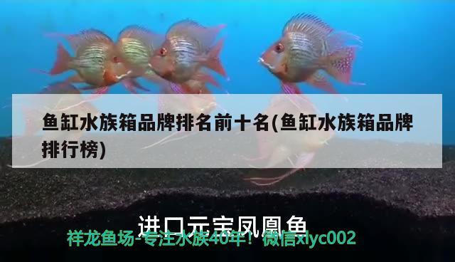 魚缸水族箱品牌排名前十名(魚缸水族箱品牌排行榜)