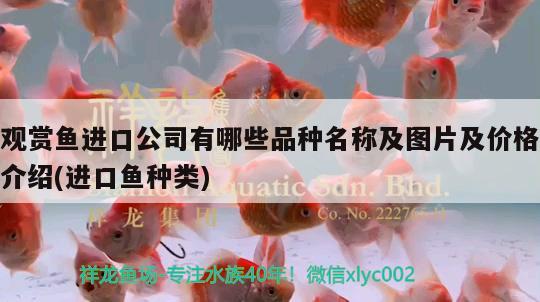 新魚缸怎么處理才能放魚（新魚缸怎樣清洗） 過背金龍魚 第1張