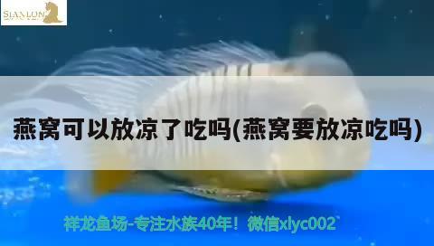 深圳水族館虎虎生威