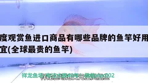 魚缸包郵費用的計算方法，魚缸包郵費用怎么算魚缸包郵費用怎么算魚缸包郵費用的計算方法 泰龐海鰱魚 第3張