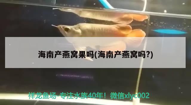 魚缸鞋柜上放魚缸好嗎，日照魚缸定制電話進(jìn)門鞋柜上放魚缸好嗎 飛鳳魚苗 第1張