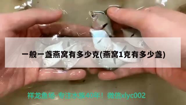 魚缸濾材用什么做的？了解不同材料的優(yōu)缺點(diǎn)，魚缸濾材用什么做的了解不同材料的優(yōu)缺點(diǎn) 狗仔（招財(cái)貓)魚苗 第3張