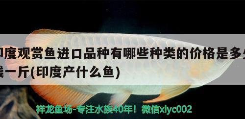 印度觀賞魚進(jìn)口品種有哪些種類的價(jià)格是多少錢一斤(印度產(chǎn)什么魚)