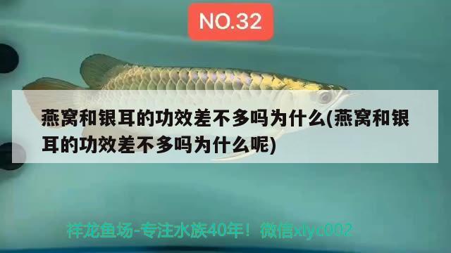 承德觀賞魚市場花都地區(qū)送貨安裝現(xiàn)場·放水養(yǎng)水