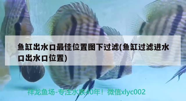 魚(yú)缸出水口最佳位置圖下過(guò)濾(魚(yú)缸過(guò)濾進(jìn)水口出水口位置) 養(yǎng)魚(yú)知識(shí)