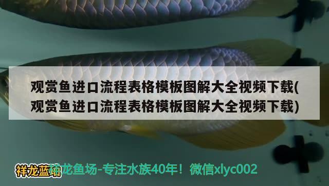 觀賞魚(yú)進(jìn)口流程表格模板圖解大全視頻下載(觀賞魚(yú)進(jìn)口流程表格模板圖解大全視頻下載) 觀賞魚(yú)進(jìn)出口