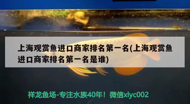 上海觀賞魚進口商家排名第一名(上海觀賞魚進口商家排名第一名是誰) 觀賞魚進出口