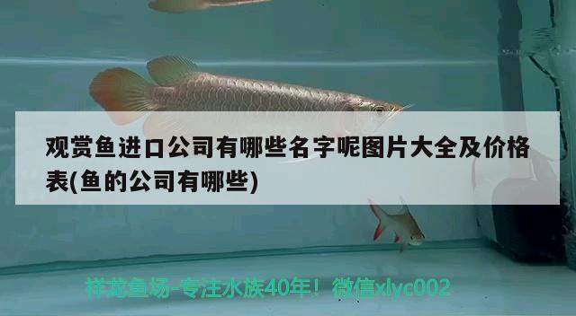 隨州觀賞魚批發(fā)市場(chǎng)地址電話：隨州附近哪里有水庫(kù)魚批發(fā)