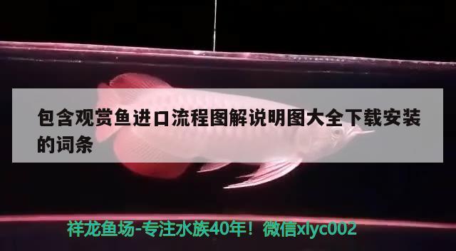 包含觀賞魚(yú)進(jìn)口流程圖解說(shuō)明圖大全下載安裝的詞條 觀賞魚(yú)進(jìn)出口