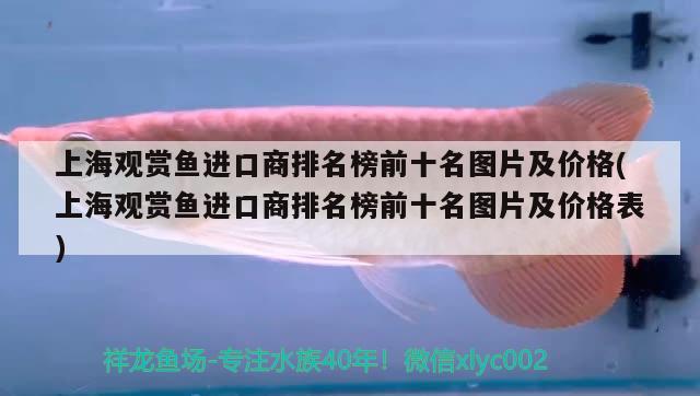 上海觀賞魚進口商排名榜前十名圖片及價格(上海觀賞魚進口商排名榜前十名圖片及價格表)